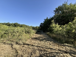 Main House with Outbuildings in 7.2 Hectares of Land