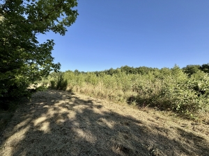 Main House with Outbuildings in 7.2 Hectares of Land