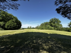 Main House, Guest House, Stables and Pool