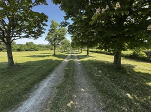 Main House, Guest House, Stables and Pool