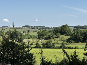 Main House, Guest House, Stables and Pool
