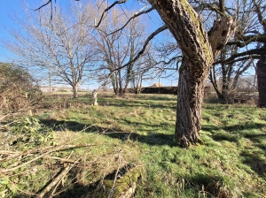 Detached House with Garden and Open View
