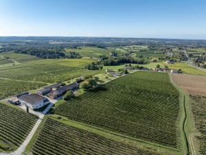 Large House in the middle of the Vineyards with Views