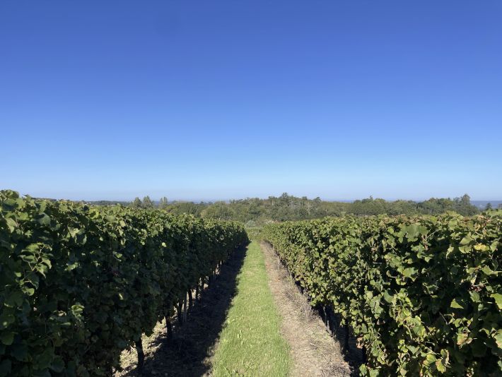 Large House in the middle of the Vineyards with Views
