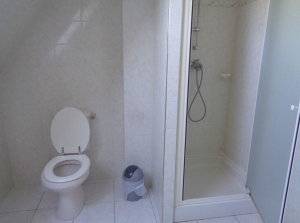 Detached Country House with Swimming Pool