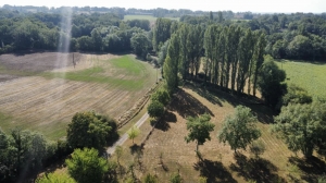 Unique Property with Pond and Pool and Land