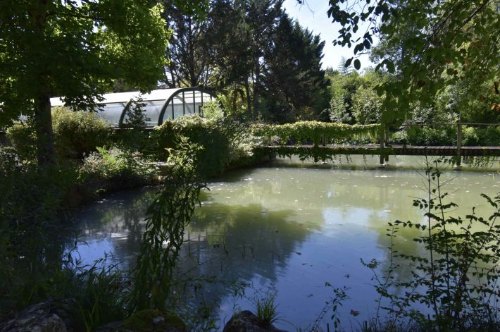 Unique Property with Pond and Pool and Land