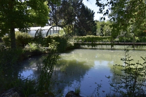 Unique Property with Pond and Pool and Land