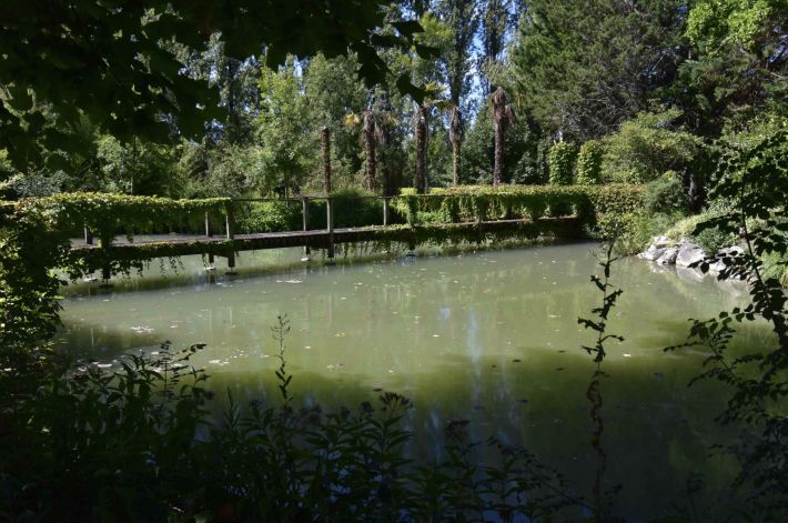 Unique Property with Pond and Pool and Land