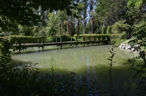 Unique Property with Pond and Pool and Land