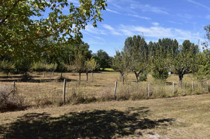 Unique Property with Pond and Pool and Land