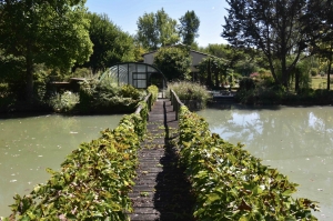 Unique Property with Pond and Pool and Land