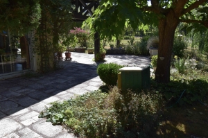 Unique Property with Pond and Pool and Land