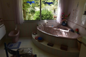 Unique Property with Pond and Pool and Land