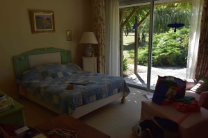 Unique Property with Pond and Pool and Land