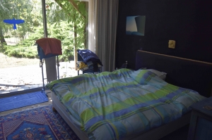 Unique Property with Pond and Pool and Land