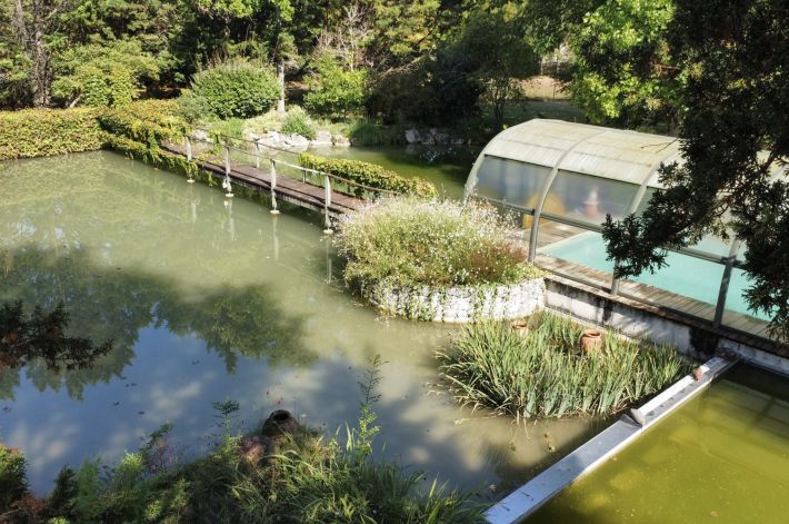 Unique Property with Pond and Pool and Land