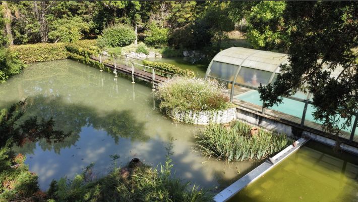 Unique Property with Pond and Pool and Land