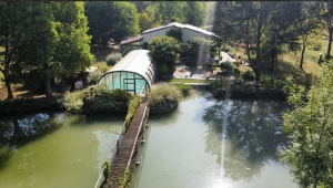 Unique Property with Pond and Pool and Land