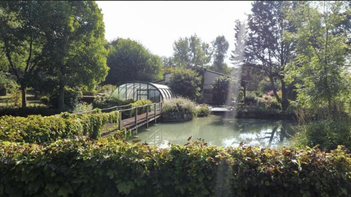 Unique Property with Pond and Pool and Land