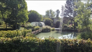 Unique Property with Pond and Pool and Land