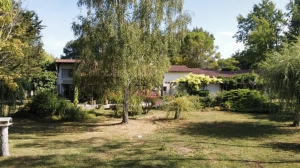 Unique Property with Pond and Pool and Land