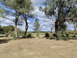 Detached Country House with Outbuildings