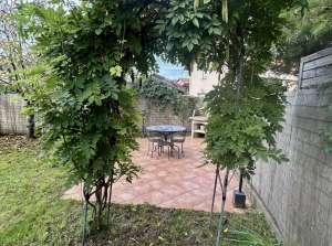 Delightful Detached House with Garden