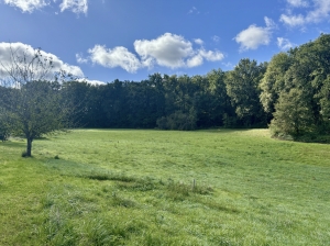Farm House and Many Outbuildings