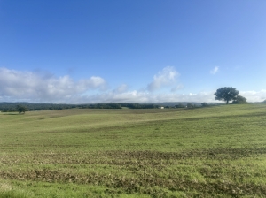 Farm House and Many Outbuildings