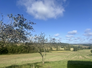 Farm House and Many Outbuildings
