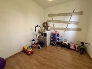 Modern Detached House with Garden