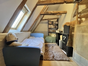 Detached Country House with Equestrian Possibilities