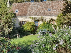 Detached Country House with Equestrian Possibilities