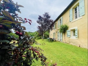 Beautiful Main House, Guest Cottage in 25 Hectares