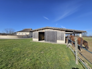 Detached Country House with Large Pool and Business