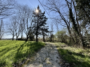 Detached Country House with Outbuilding