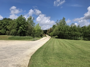 Contemporary Detached Villa with Pool