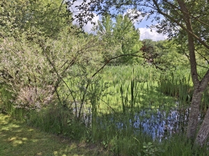 Contemporary Detached Villa with Pool
