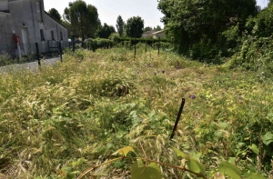 Village House to Renovate, Ideal Holiday Home Project
