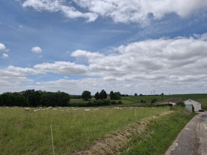 Detached Country House With Open View