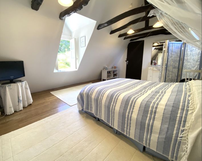 Detached Country House with Guest Gite
