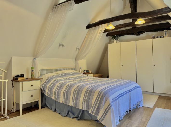 Detached Country House with Guest Gite
