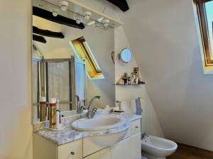 Detached Country House with Guest Gite