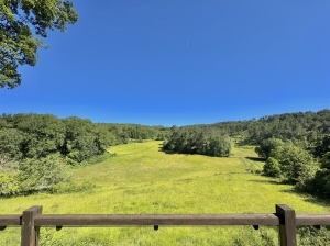 Detached Country House with Guest Gite