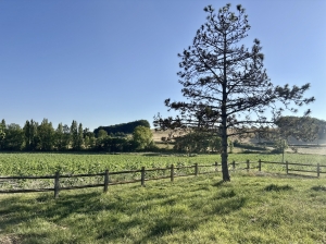 Magnificent Country House with Barn
