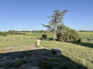 Magnificent Country House with Barn