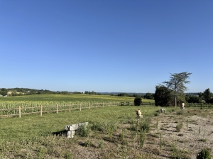 Magnificent Country House with Barn