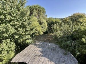 Charming House With More Potential and Garage