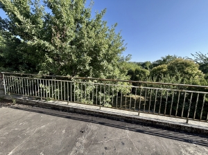 Charming House With More Potential and Garage